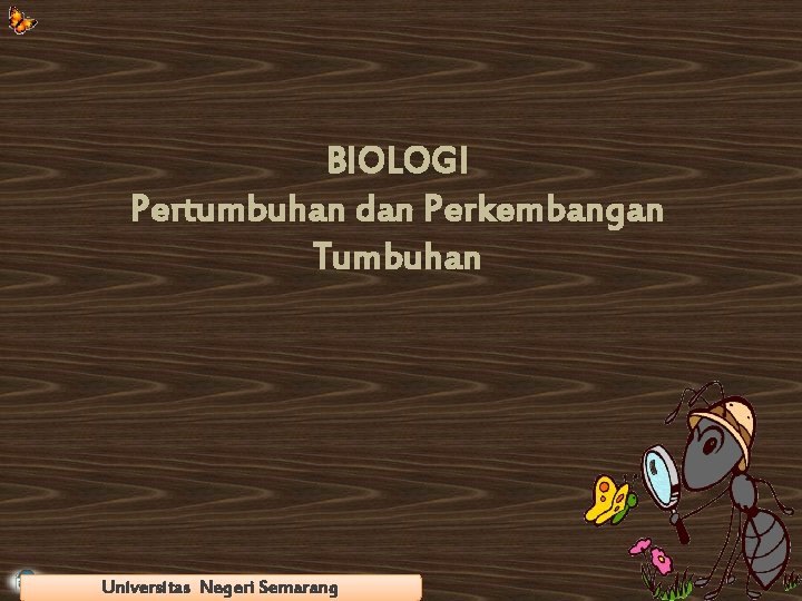 BIOLOGI Pertumbuhan dan Perkembangan Tumbuhan Universitas Semarang Universitas Islam Negeri Syarif Hidayatullah Jakarta 