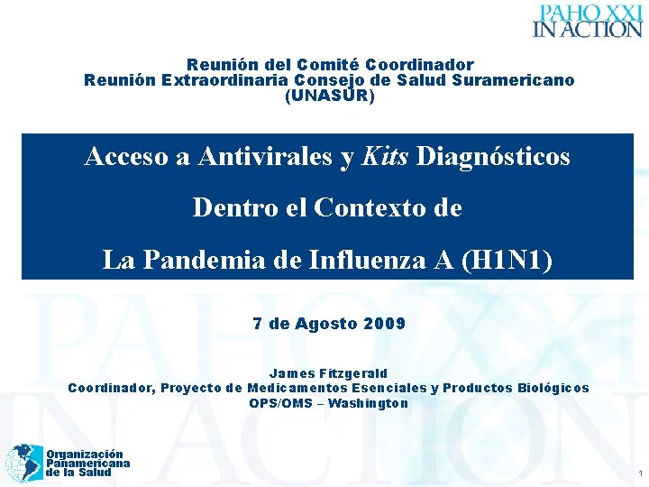 Reunión del Comité Coordinador Reunión Extraordinaria Consejo de Salud Suramericano (UNASUR) Acceso a Antivirales