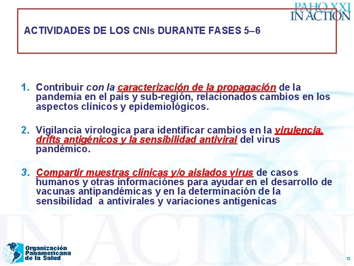 ACTIVIDADES DE LOS CNIs DURANTE FASES 5– 6 1. Contribuir con la caracterización de