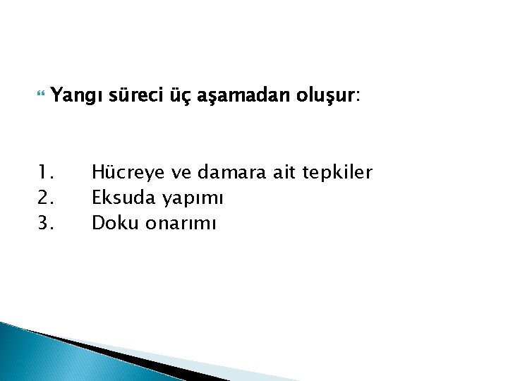  Yangı süreci üç aşamadan oluşur: 1. Hücreye ve damara ait tepkiler 2. Eksuda