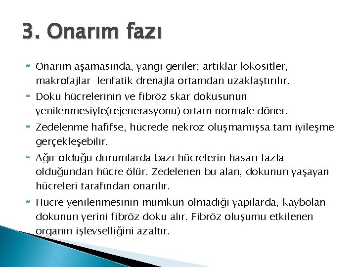 3. Onarım fazı Onarım aşamasında, yangı geriler; artıklar lökositler, makrofajlar lenfatik drenajla ortamdan uzaklaştırılır.