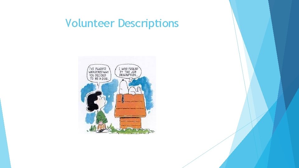 Volunteer Descriptions 