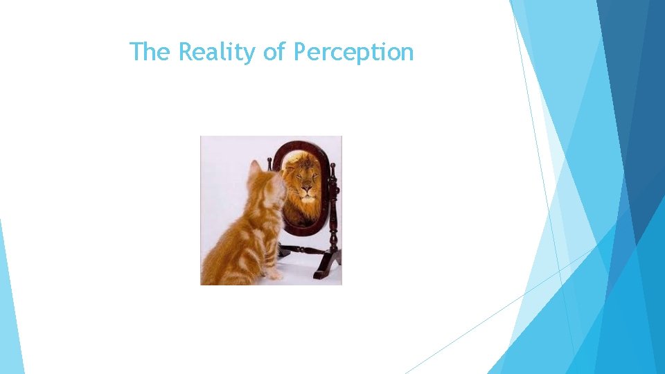 The Reality of Perception 