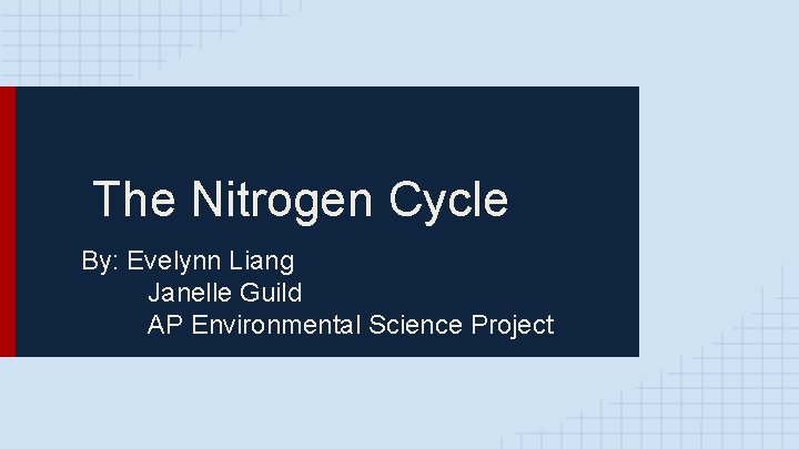 The Nitrogen Cycle By: Evelynn Liang Janelle Guild AP Environmental Science Project 