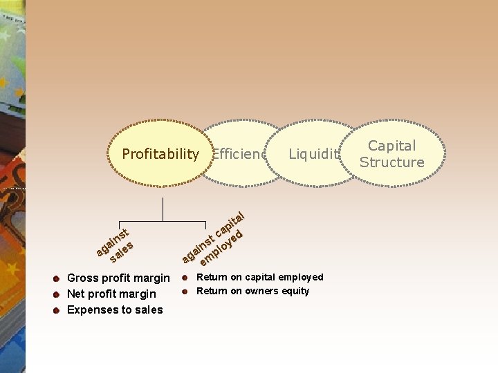 Profitability Efficiency Liquidity t ns i a s ag ale s Gross profit margin