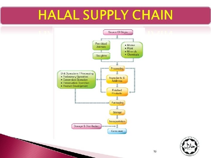 www. halal. vn 