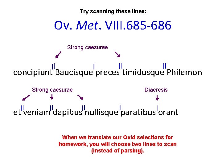 Try scanning these lines: Ov. Met. VIII. 685 -686 Strong caesurae // // concipiunt