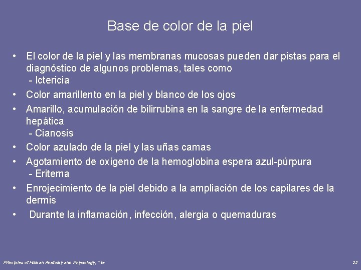 Base de color de la piel • El color de la piel y las