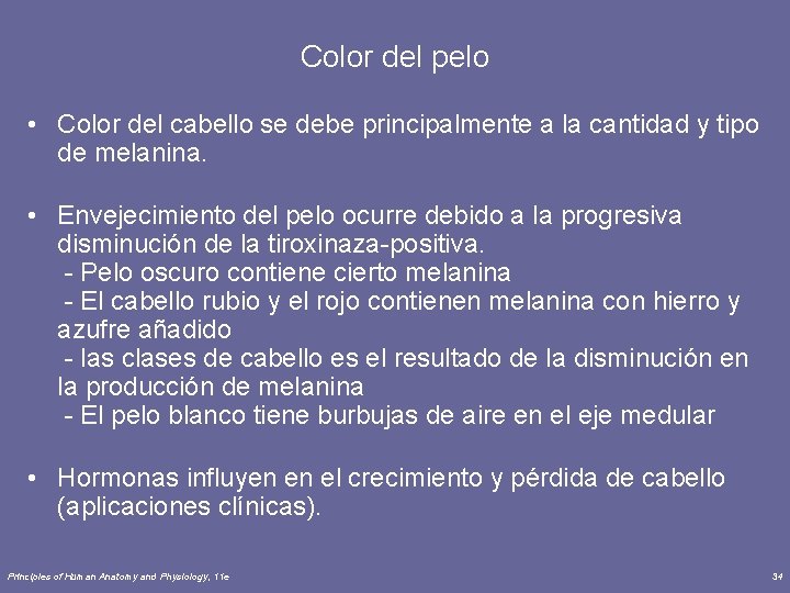 Color del pelo • Color del cabello se debe principalmente a la cantidad y