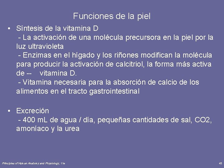 Funciones de la piel • Síntesis de la vitamina D - La activación de