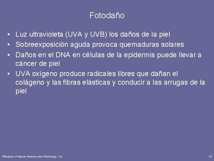 Fotodaño • Luz ultravioleta (UVA y UVB) los daños de la piel • Sobreexposición