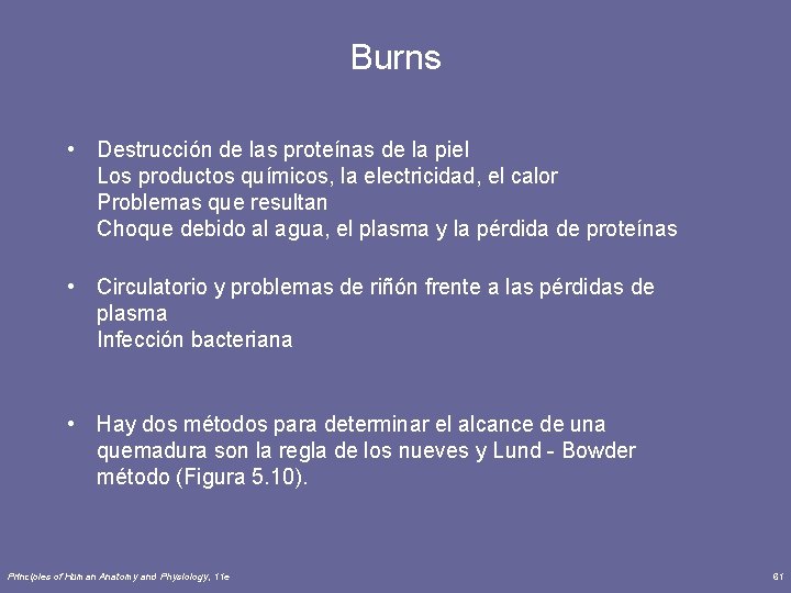 Burns • Destrucción de las proteínas de la piel Los productos químicos, la electricidad,