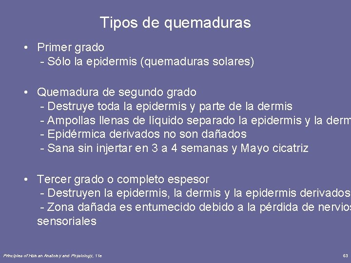 Tipos de quemaduras • Primer grado - Sólo la epidermis (quemaduras solares) • Quemadura