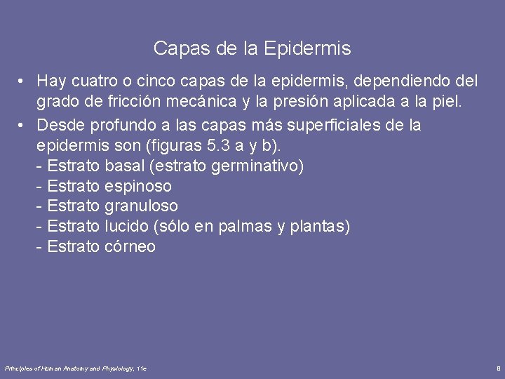 Capas de la Epidermis • Hay cuatro o cinco capas de la epidermis, dependiendo