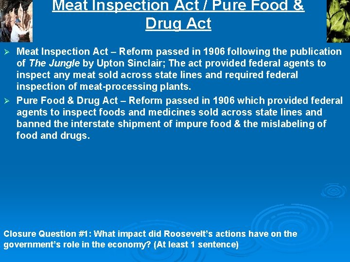 Meat Inspection Act / Pure Food & Drug Act Meat Inspection Act – Reform