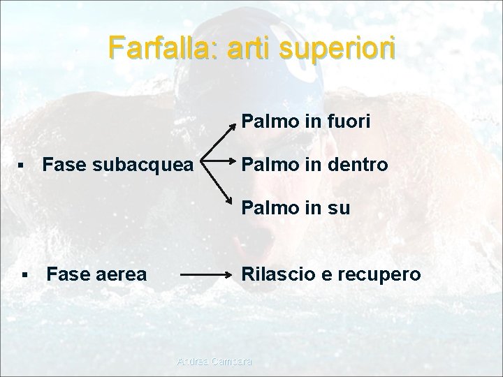 Farfalla: arti superiori Palmo in fuori § Fase subacquea Palmo in dentro Palmo in