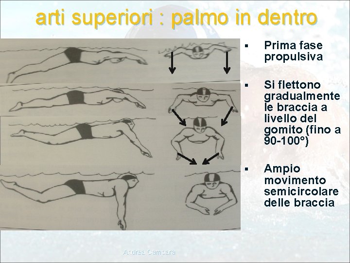 arti superiori : palmo in dentro Andrea Campara § Prima fase propulsiva § Si