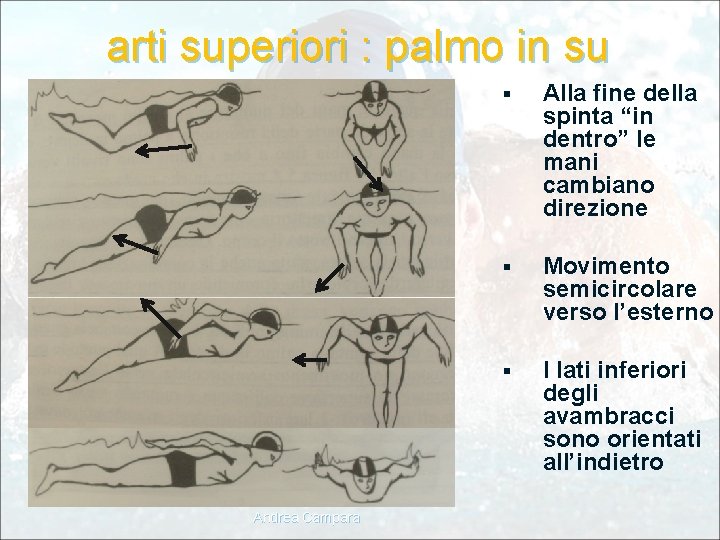 arti superiori : palmo in su Andrea Campara § Alla fine della spinta “in