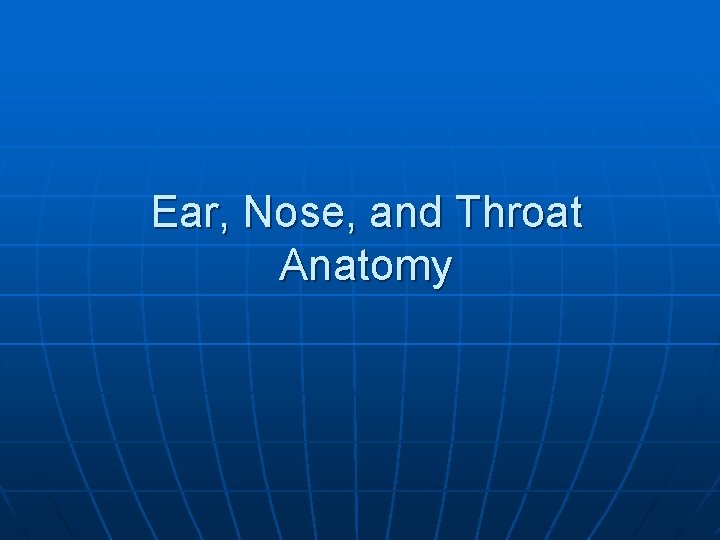 Ear, Nose, and Throat Anatomy 