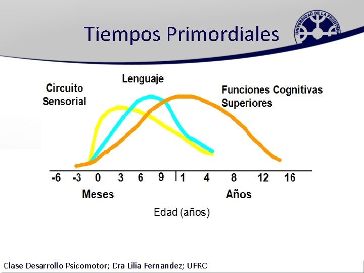 Tiempos Primordiales Clase Desarrollo Psicomotor; Dra Lilia Fernandez; UFRO 