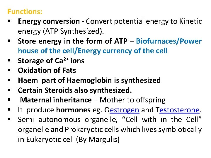 Functions: § Energy conversion - Convert potential energy to Kinetic energy (ATP Synthesized). §