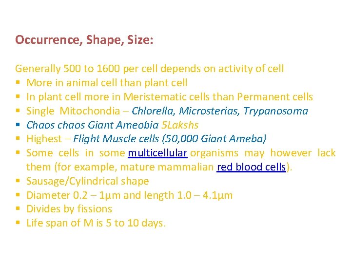 Occurrence, Shape, Size: Generally 500 to 1600 per cell depends on activity of cell