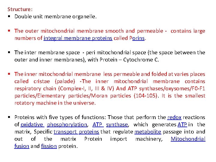 Structure: § Double unit membrane organelle. § The outer mitochondrial membrane smooth and permeable