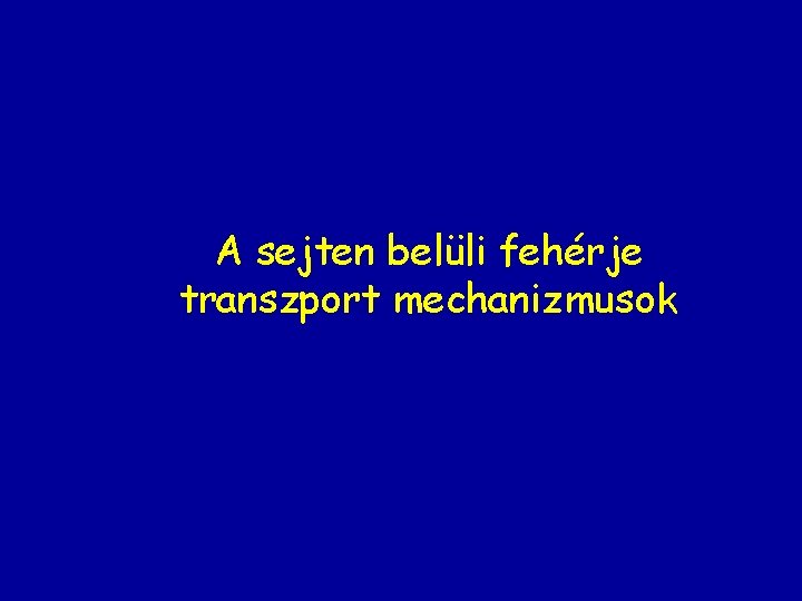 A sejten belüli fehérje transzport mechanizmusok 