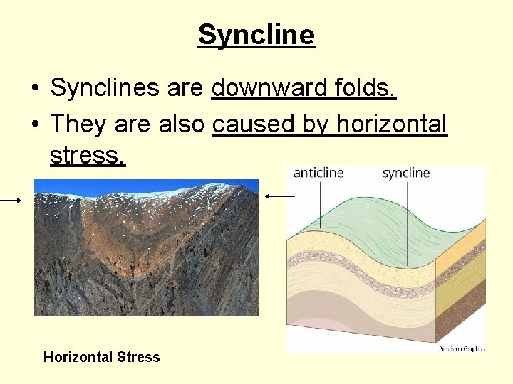 Syncline • Synclines are downward folds. • They are also caused by horizontal stress.