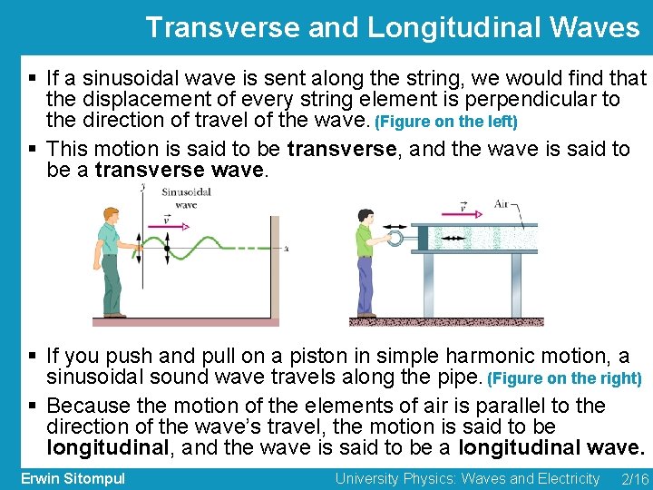 Transverse and Longitudinal Waves § If a sinusoidal wave is sent along the string,