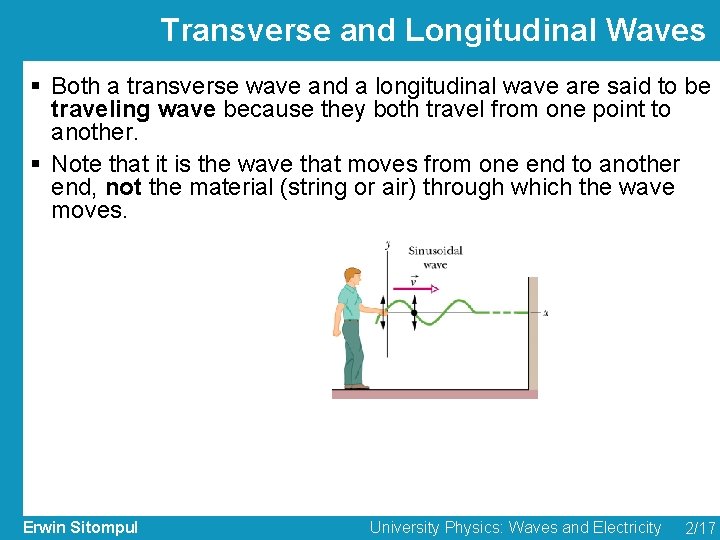 Transverse and Longitudinal Waves § Both a transverse wave and a longitudinal wave are