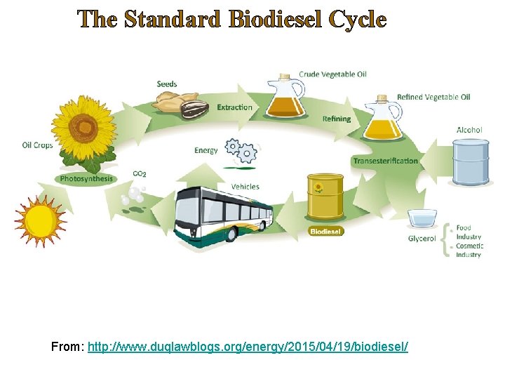 The Standard Biodiesel Cycle From: http: //www. duqlawblogs. org/energy/2015/04/19/biodiesel/ 