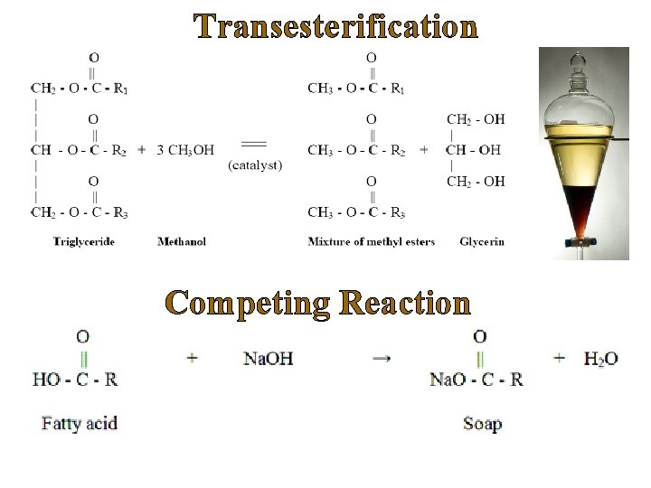 Transesterification Competing Reaction 