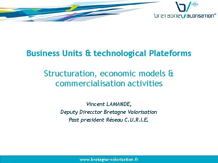 Business Units & technological Plateforms Structuration, economic models & commercialisation activities Vincent LAMANDE, Deputy