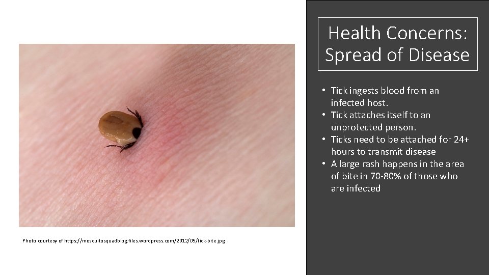 Health Concerns: Spread of Disease • Tick ingests blood from an infected host. •