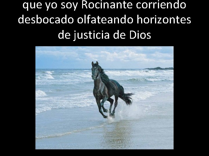 que yo soy Rocinante corriendo desbocado olfateando horizontes de justicia de Dios 