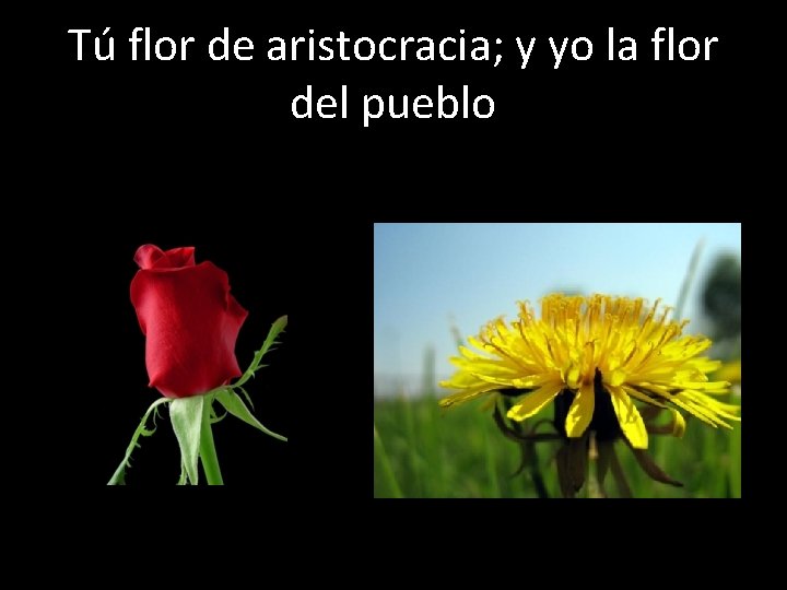 Tú flor de aristocracia; y yo la flor del pueblo 