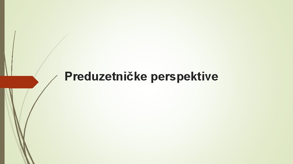 Preduzetničke perspektive 