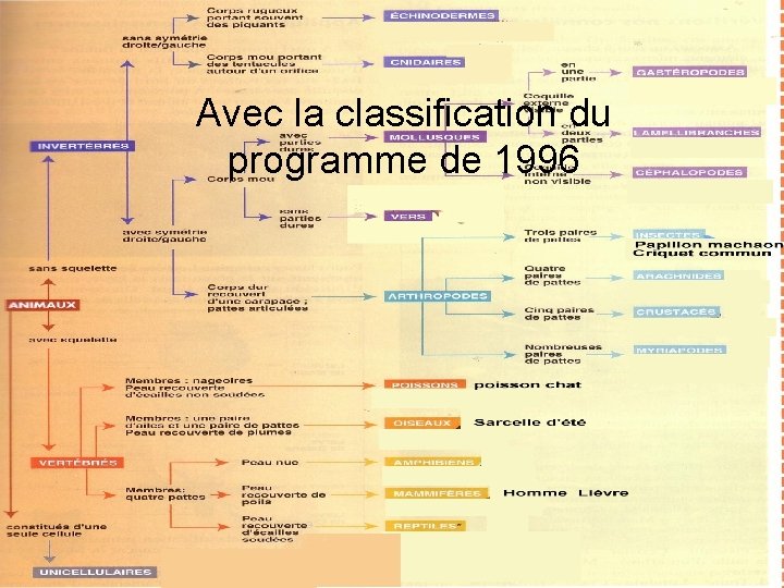 Avec la classification du programme de 1996 