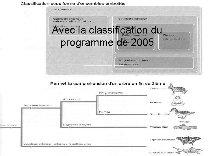 Avec la classification du programme de 2005 