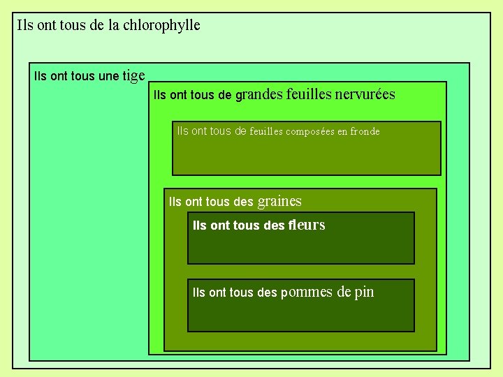 Ils ont tous de la chlorophylle Ils ont tous une tige Ils ont tous