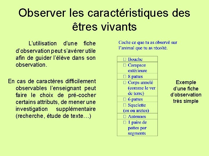 Observer les caractéristiques des êtres vivants L’utilisation d’une fiche d’observation peut s’avérer utile afin