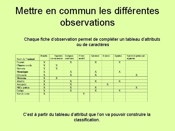 Mettre en commun les différentes observations Chaque fiche d’observation permet de compléter un tableau
