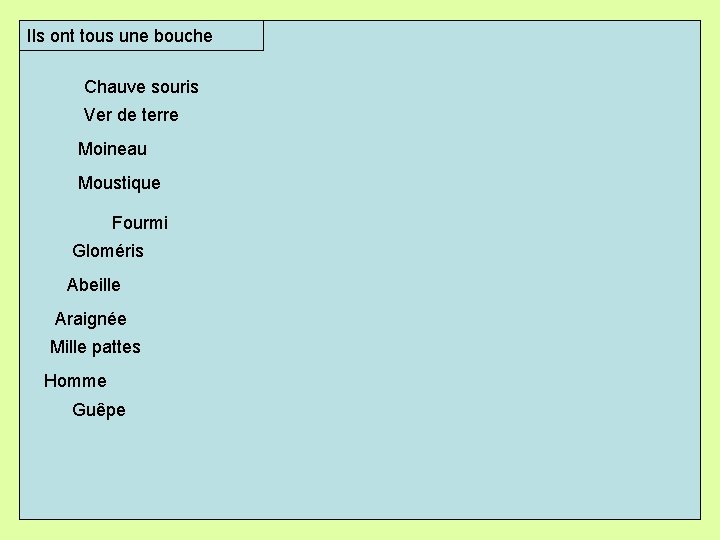 Ils ont tous une bouche Chauve souris Ver de terre Moineau Moustique Fourmi Gloméris