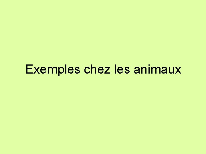 Exemples chez les animaux 