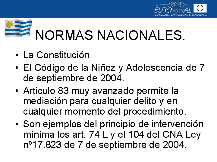 NORMAS NACIONALES. • La Constitución • El Código de la Niñez y Adolescencia de