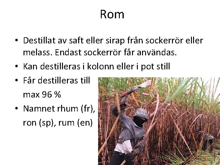 Rom • Destillat av saft eller sirap från sockerrör eller melass. Endast sockerrör får