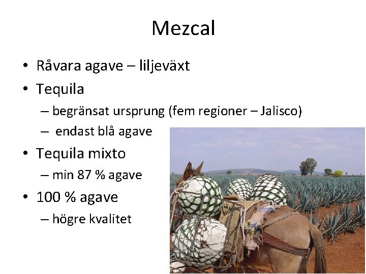 Mezcal • Råvara agave – liljeväxt • Tequila – begränsat ursprung (fem regioner –