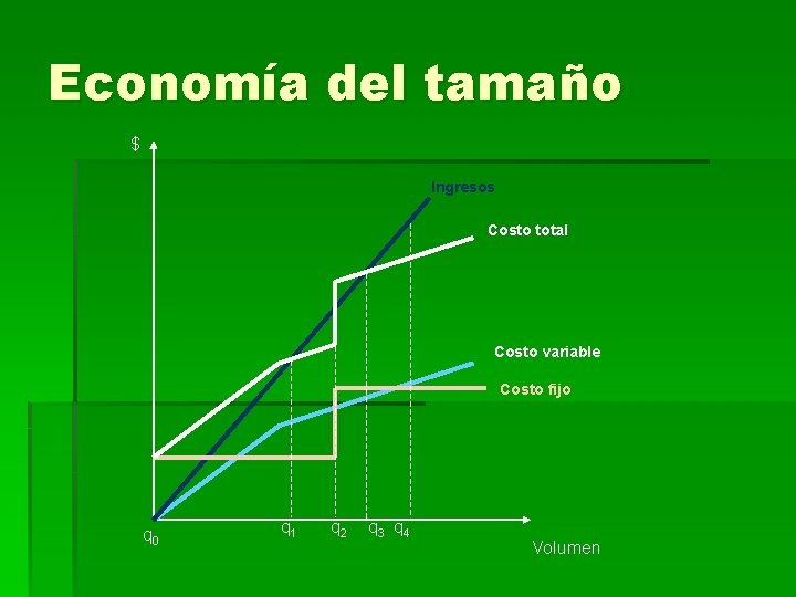 Economía del tamaño $ Ingresos Costo total Costo variable Costo fijo q 0 q
