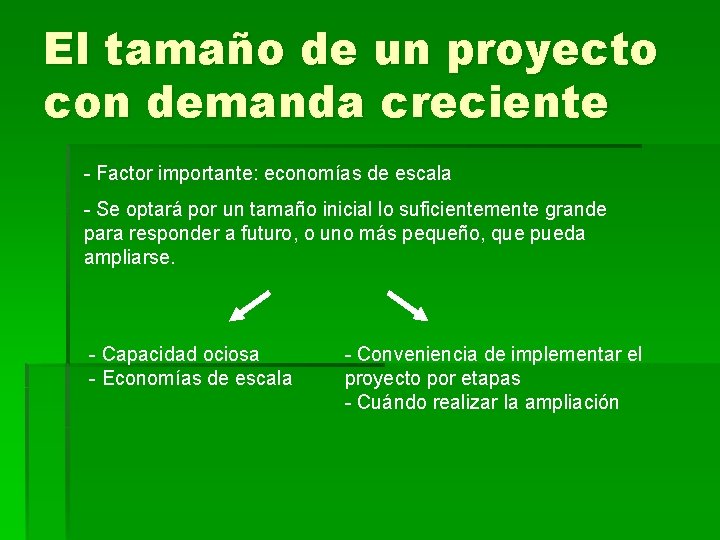 El tamaño de un proyecto con demanda creciente - Factor importante: economías de escala